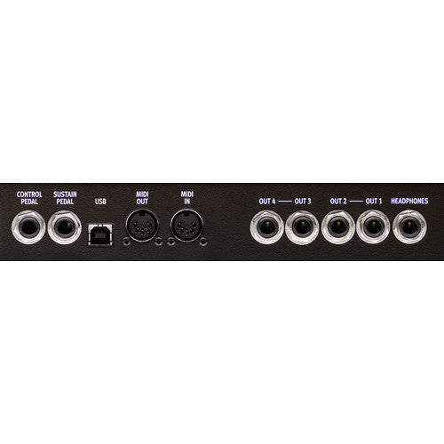 Nord Lead A1 49-Key Analog Modeling Synthesizer