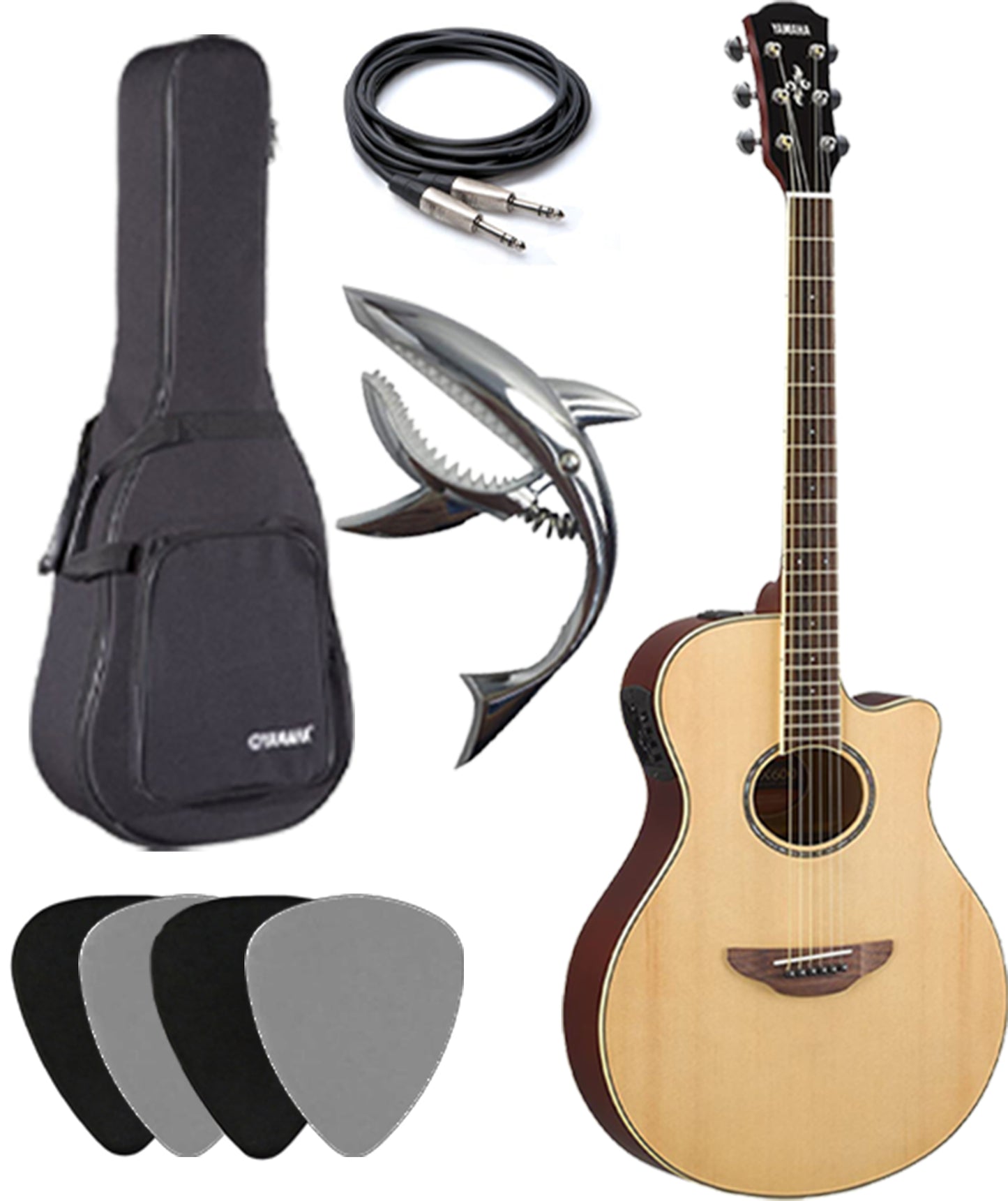 Yamaha APX600 Acoustic-Electric Guitar deluxe package