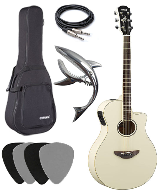 Yamaha APX600 Acoustic-Electric Guitar deluxe package