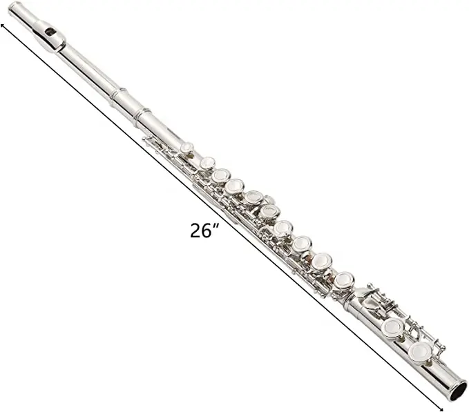 Drumroll FL220 professional student Flute