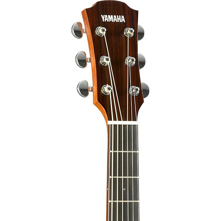 Yamaha A-Series AC3M Cutaway Concert Acoustic-Electric Guitar